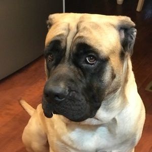 Meet your Posher, Whitney